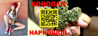 крисы Жуковский