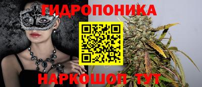 крисы Жуковский
