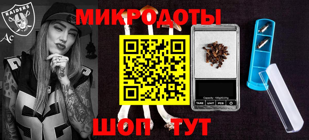 Холмск  Галлюциногенные грибы Cubensis  Вход с VPN 